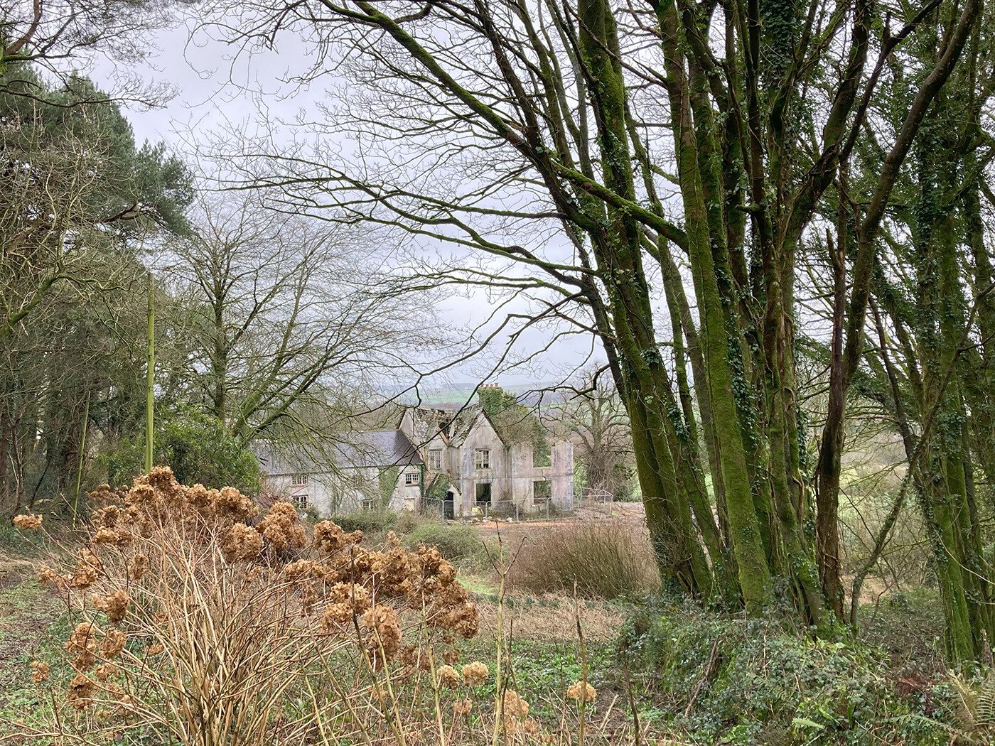 Bicton Manor, Pensilva Image